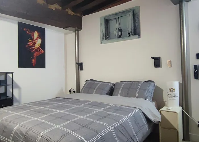 Historic Center - Unusual - Design * ディジョン